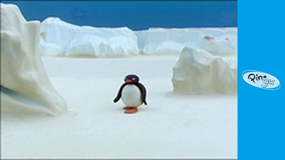 The Pingu Show Sezon 1 Odcinek 46