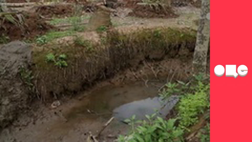 Особливості національної роботи, 1 сезон, 5 еп.