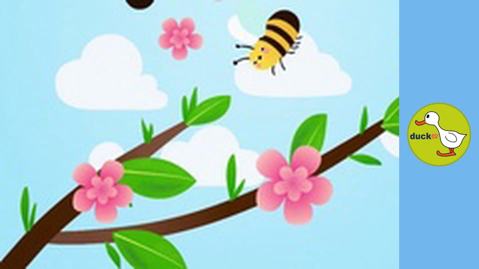 Happy Garden - Peach