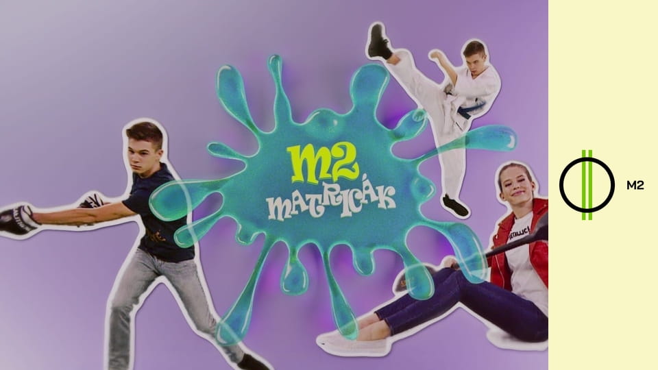 M2 matricák - Ha nagy leszek… - Könyvkötő