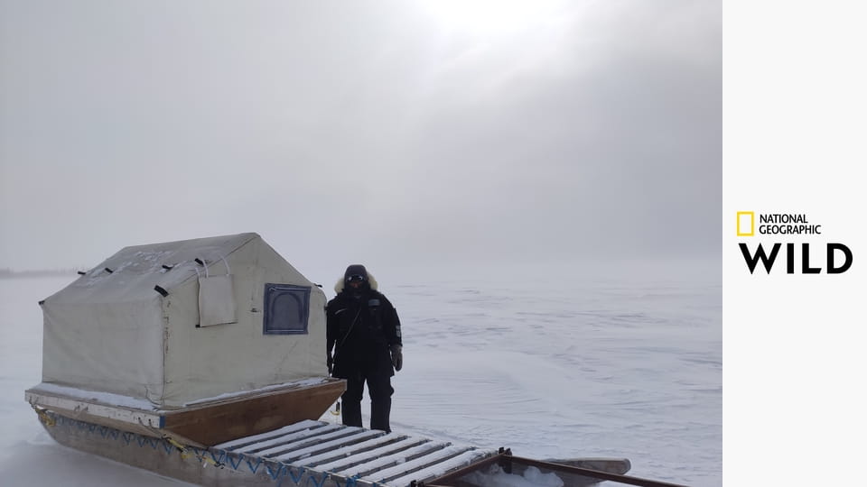 Королевство белых медведей S1E2 - Путешествие медвежонка