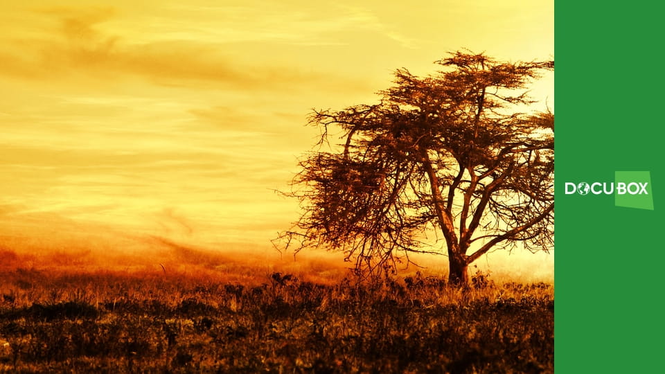 Wyprawa do Afryki S1E8 - Park Narodowy Tsavo