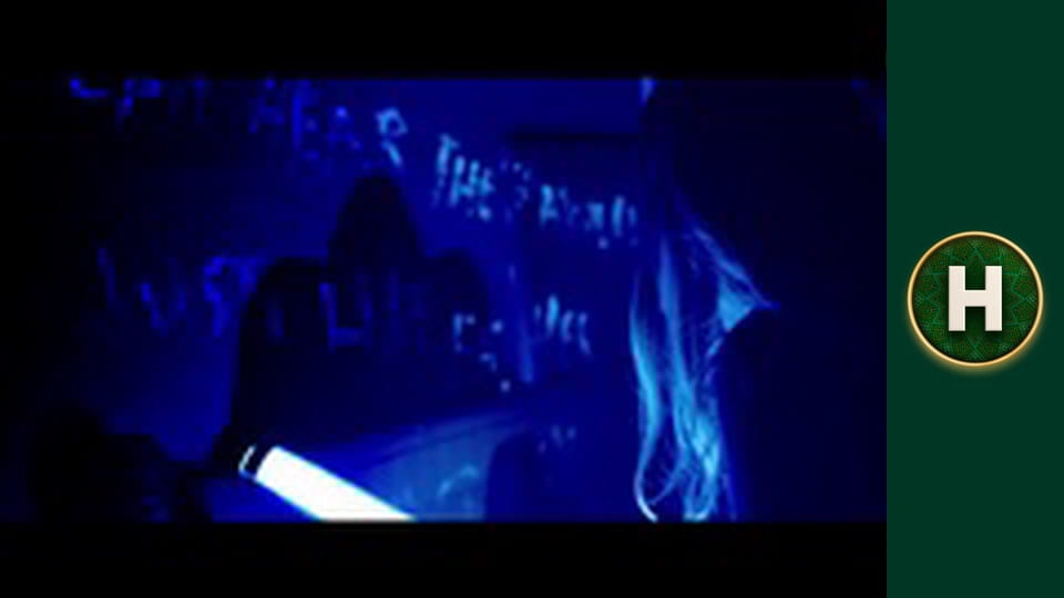 Аферисти в сітях