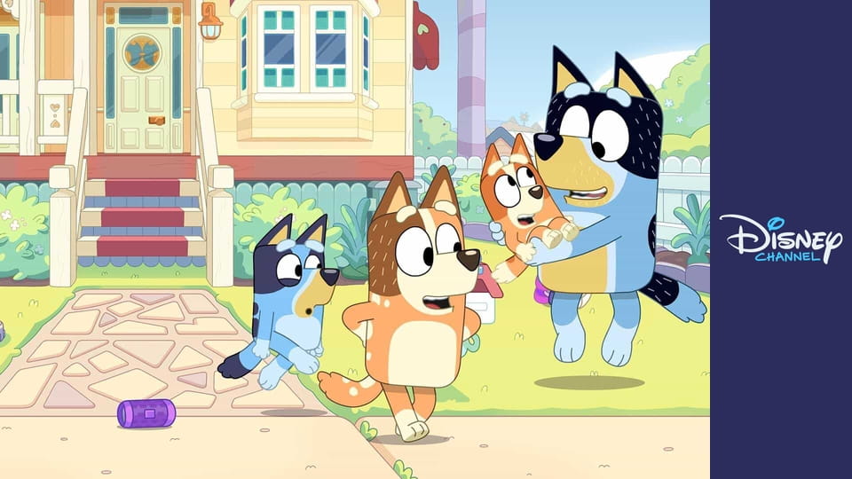 Bluey E141 - Botmadár