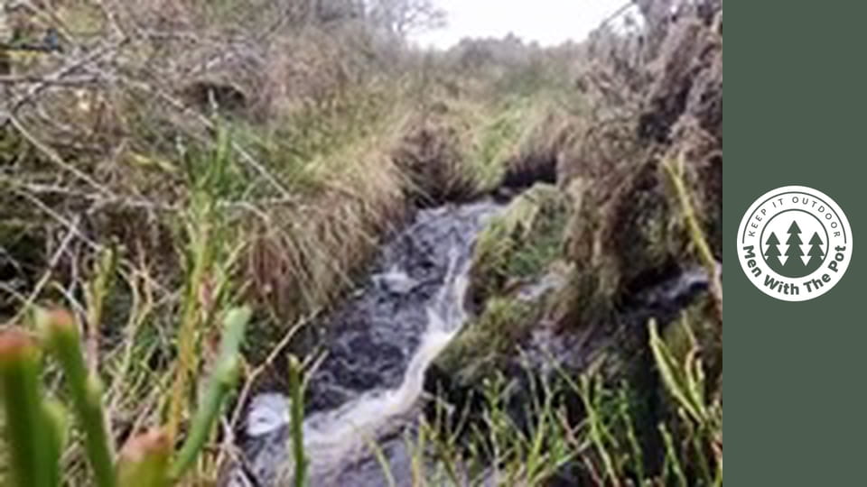 Pui Întreg Crocant cu Cartofi și Legume