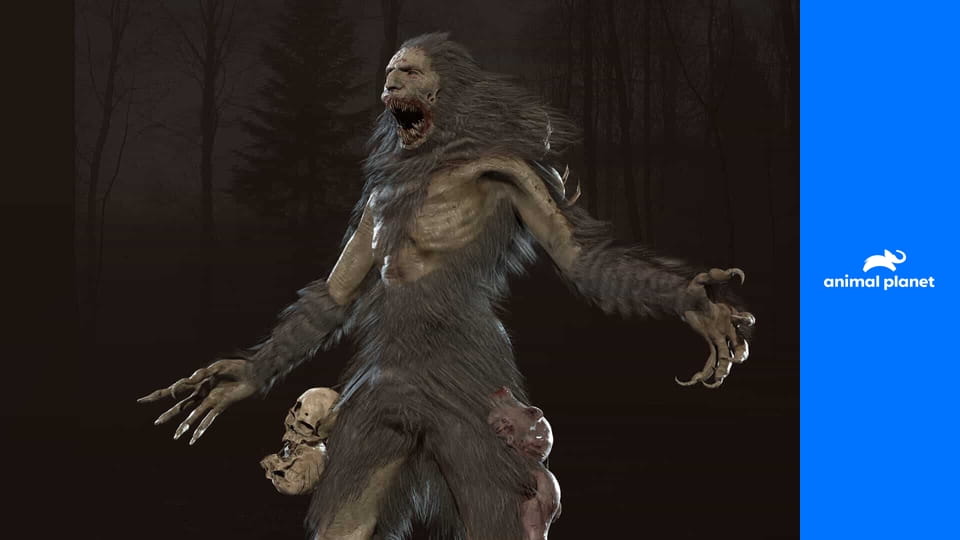 Pátrání po monstrech S1E2 - Lochneská příšera