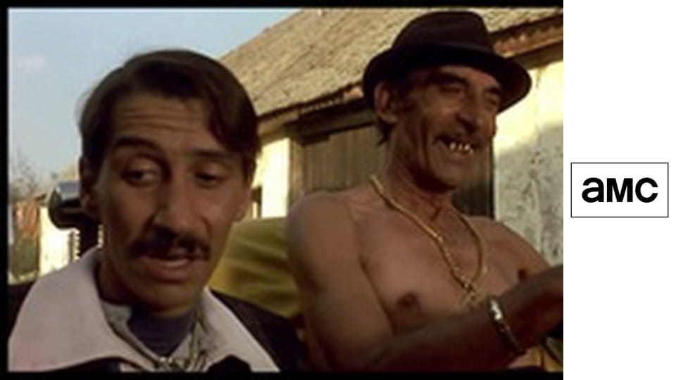 Černá kočka, bílý kocour