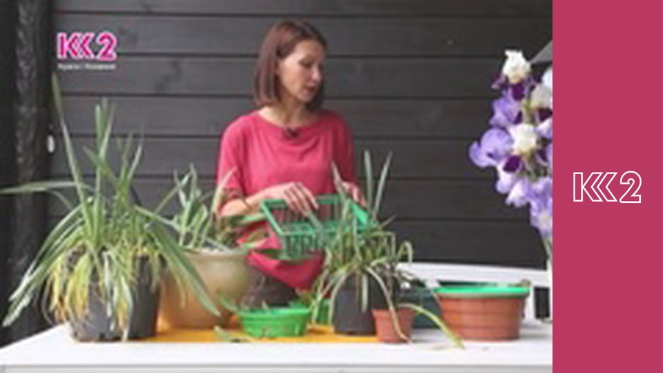 Квадратний метр E77