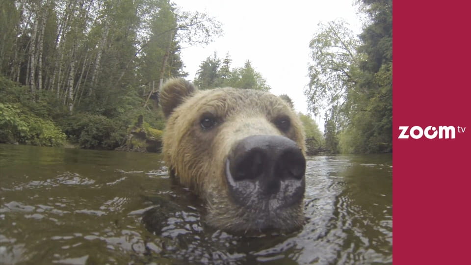 Dzika przyroda na żywo S1E3