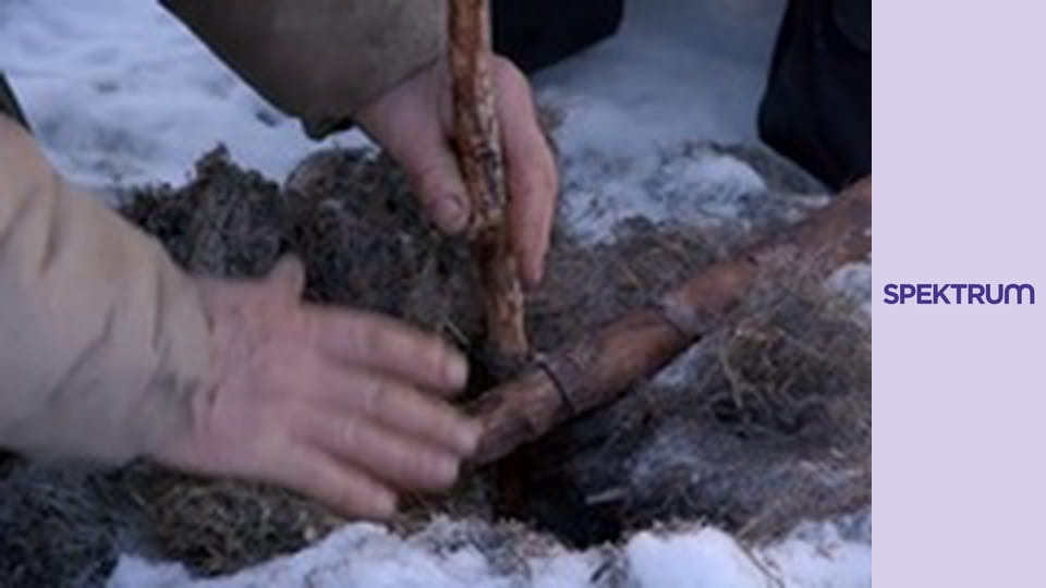 Život v sevření mrazu S10E4 - Tajemné stíny