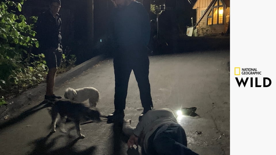 Кто-то меня укусил S1E4 - Если она учует, что я жив