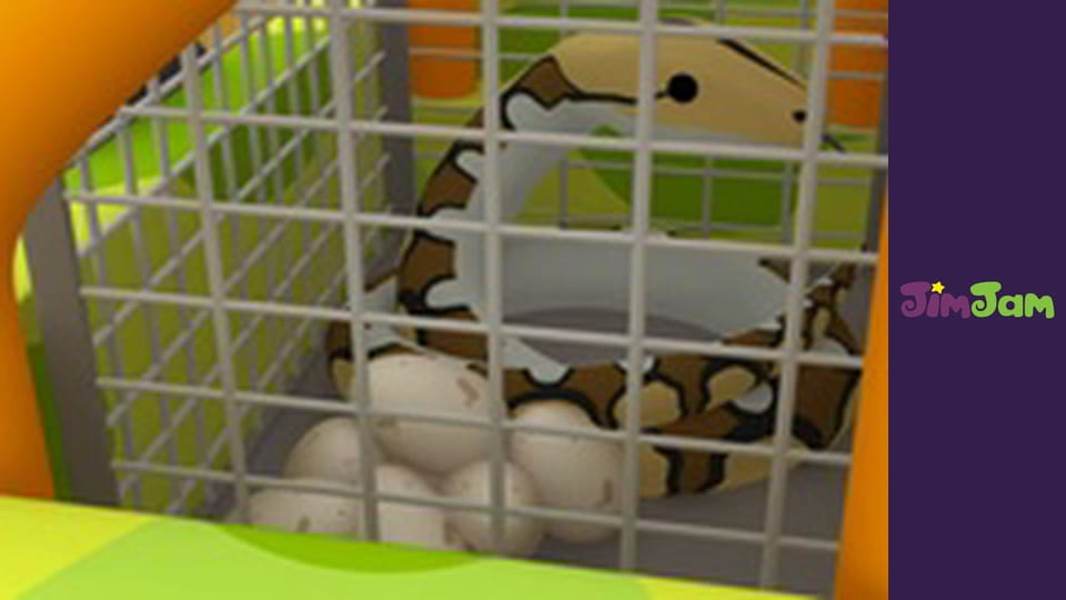 Leo the Wildlife Ranger S1E20 - THE HONEY BEE