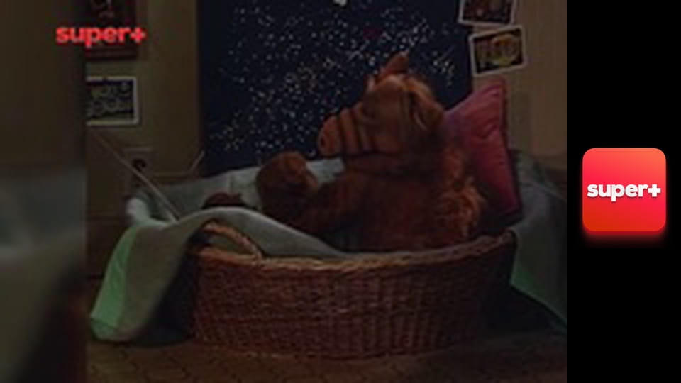 Т/с "Альф", 2 сезон, 16 с.