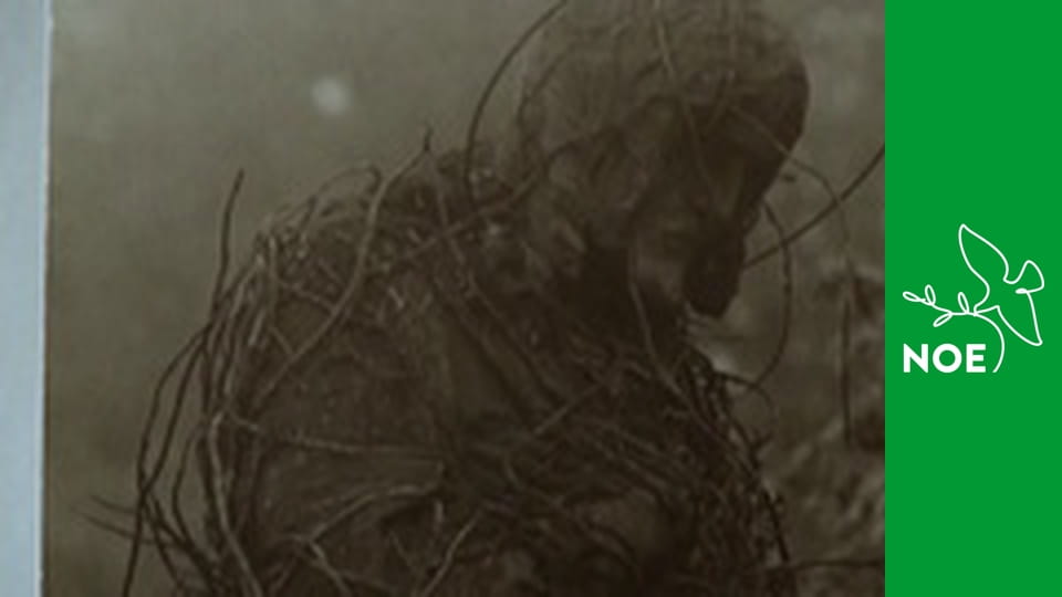 Léta letí k andělům E68 - Jaroslav Hodík – fotograf