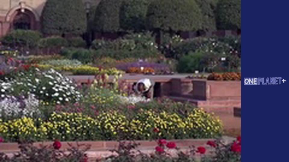 Islamic Garden Design - series 2