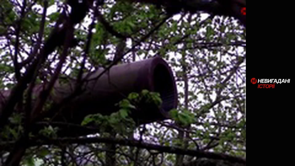 Невигадані історії.