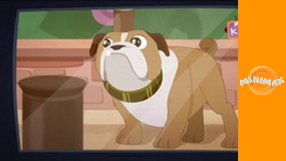 Malí zvířecí detektivové S1E37 - Ptáčci zpěváčci