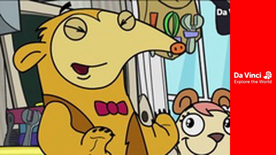 Doki - Az írek szerencséje