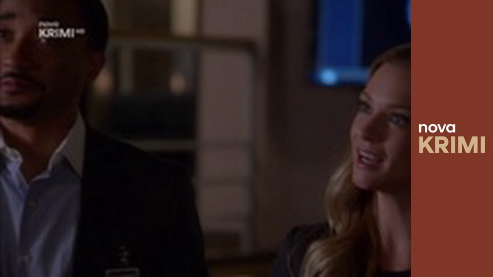 Myšlenky zločince S12E11