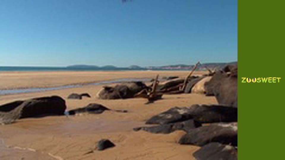 Australia, Season 1, Episode 3