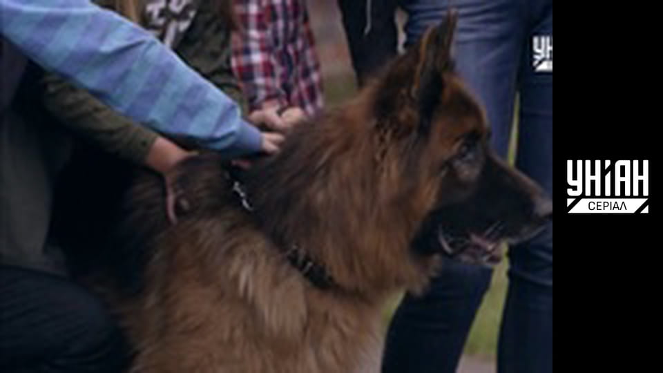 Новобранець