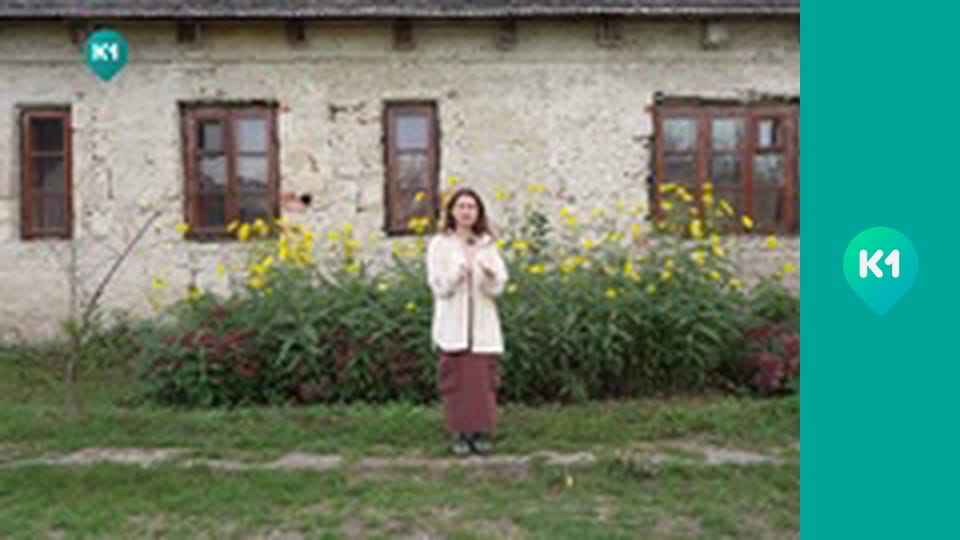 "Світ_огляд з Машею Себовою".