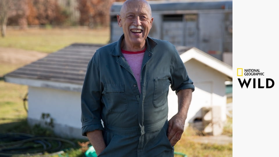 Невероятный доктор Пол, лучшие серии S13E19