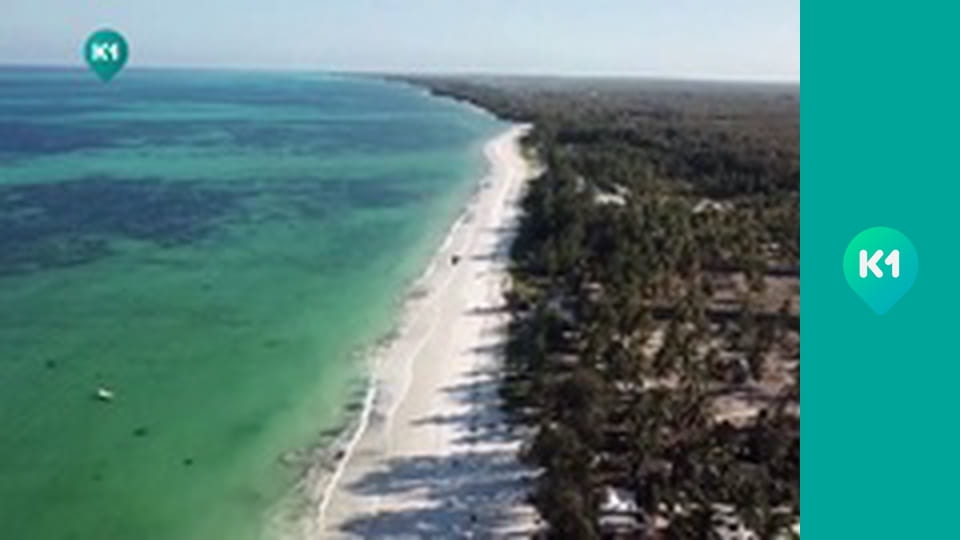 "Пригоди з Яною Метьолкіною".