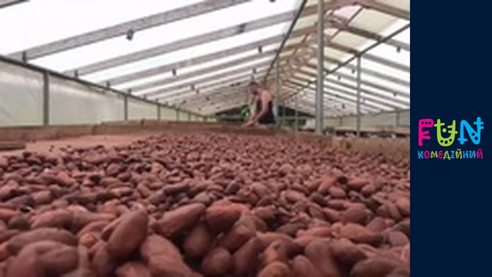 Peculiarities of National Work – Season 4 Episode 3