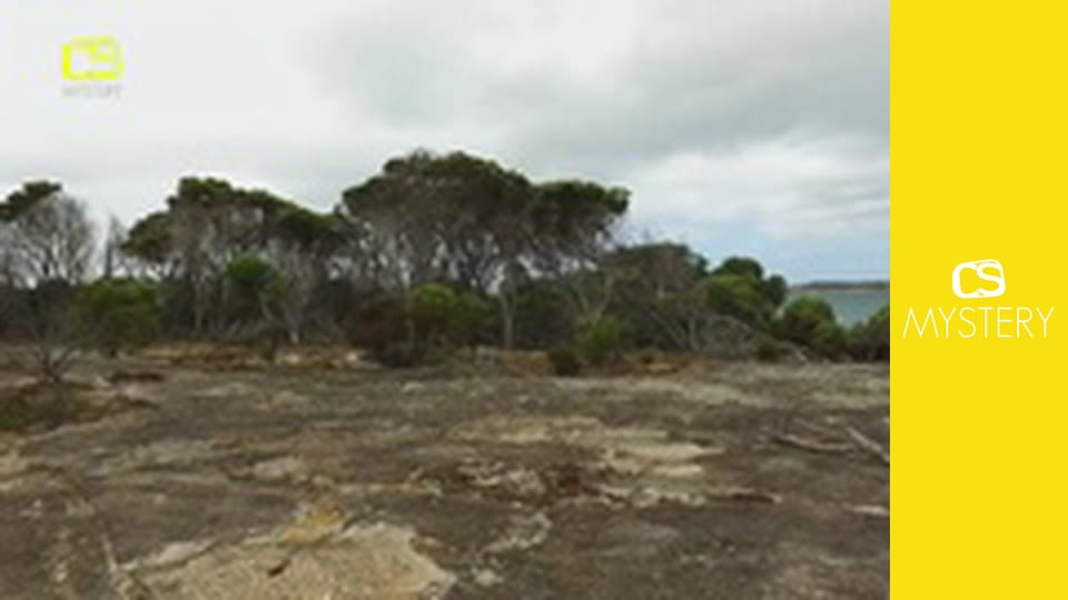 Neuvěřitelná planeta E1 - Jezero Hillier, Diamantová pláž a Kamenný les