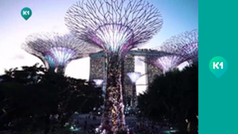 "Пригоди з Яною Метьолкіною".