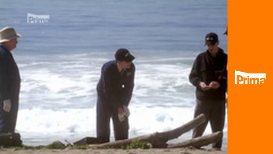 Námořní vyšetřovací služba S7E18 - Střet kompetencí