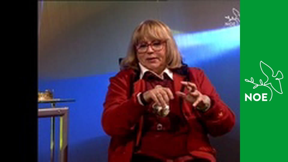 Noční repríza dopoledních pořadů