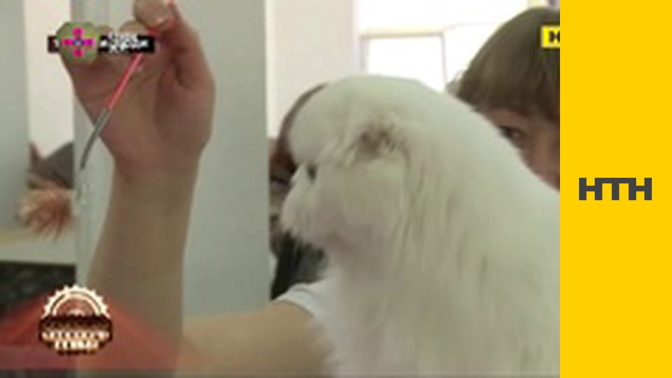 "Таємниці світу".