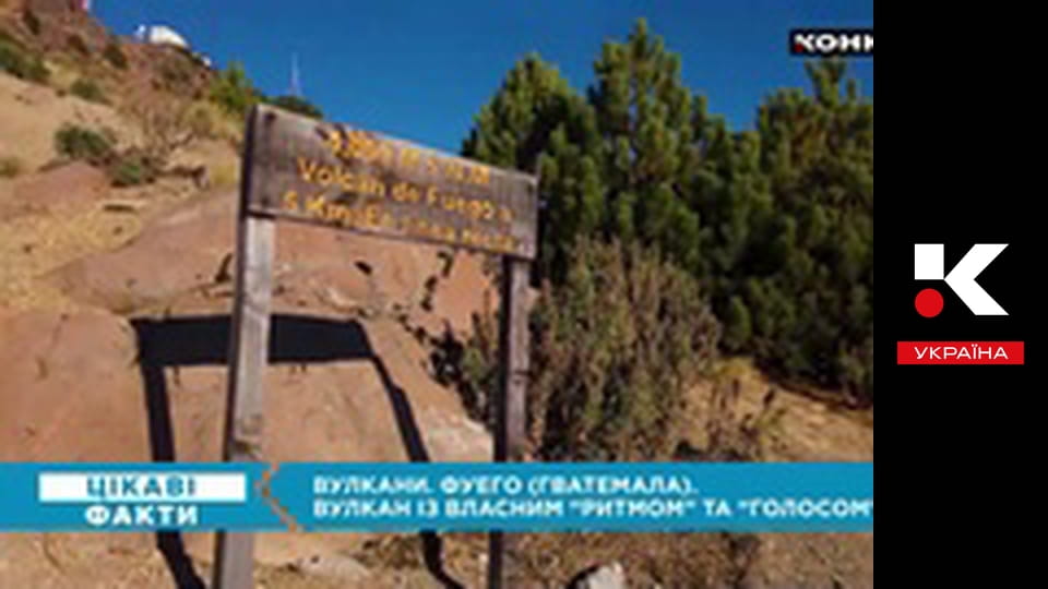 Цікаві факти.