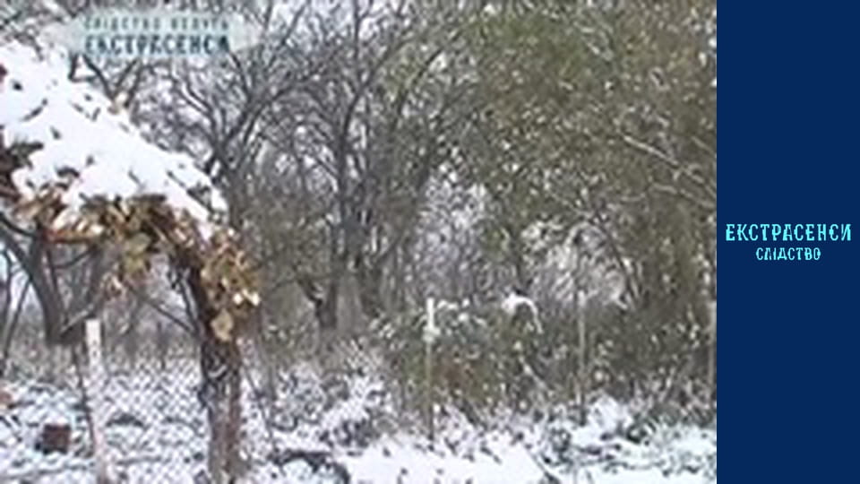 Family squabbles. Part 2