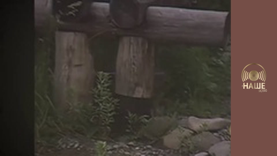 Ретро шлягер.