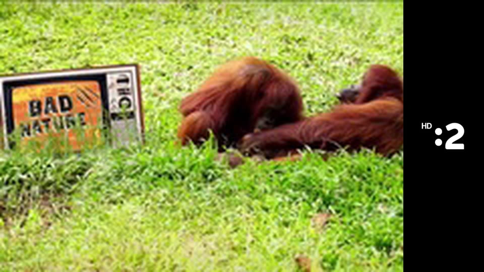 Čudná príroda E24