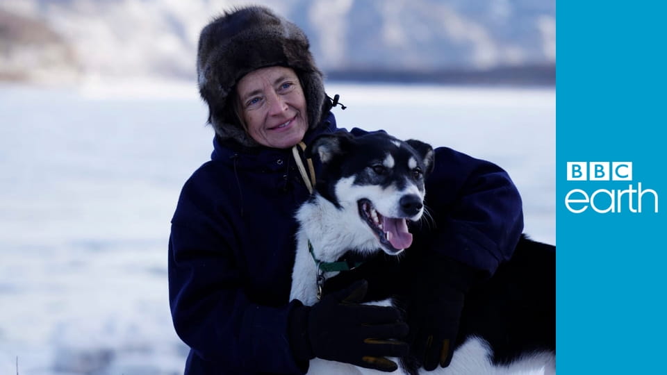 Life Below Zero S11E18 - Beyond the Tundra