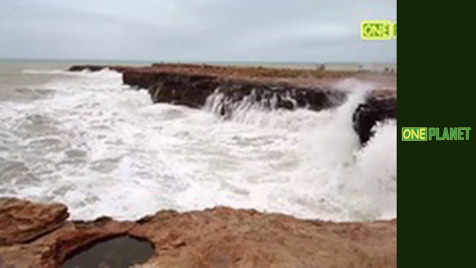 Чудеса природы, 2 эп.