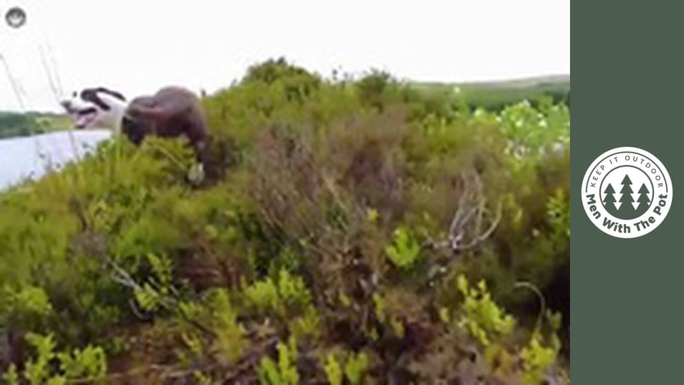 Epické smažené kuře na raketovém ohništi