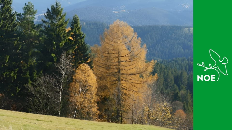 V pohorách po horách - Velký Blaník