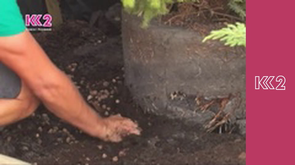 Удачний проект S3E36