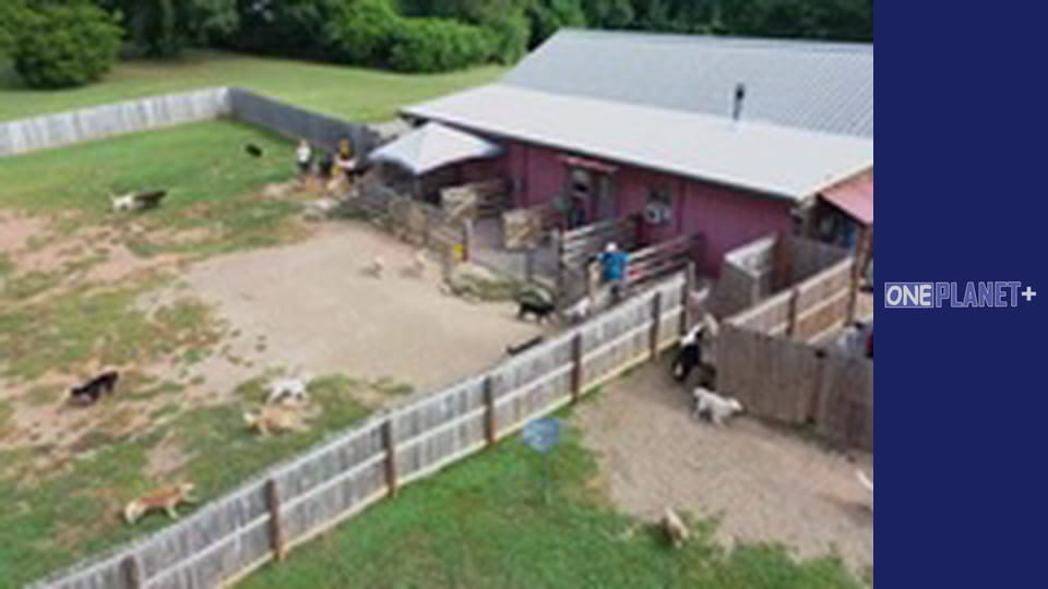 Your fantastic mind, Season 1, Episode 3