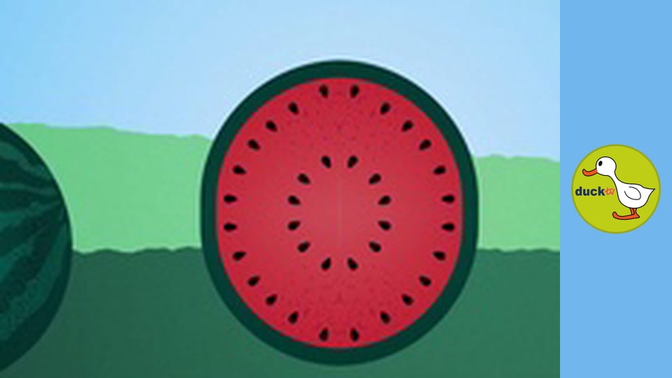 Happy Garden - Watermelon