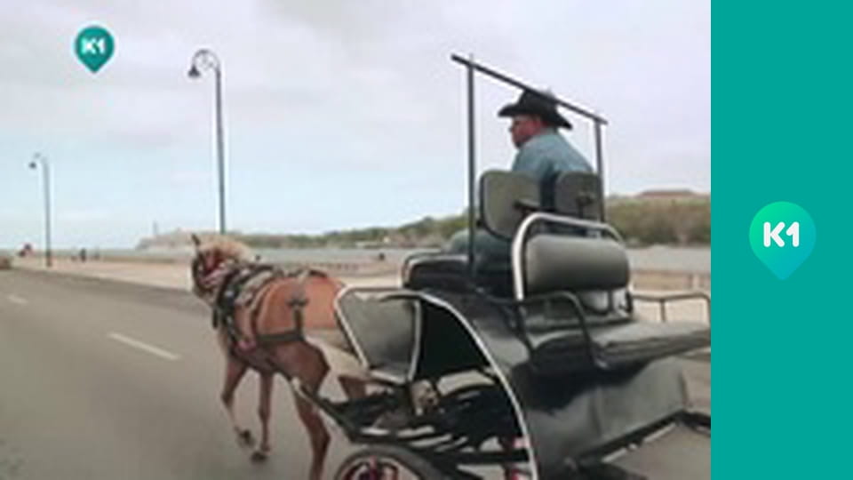 "Так не буває".