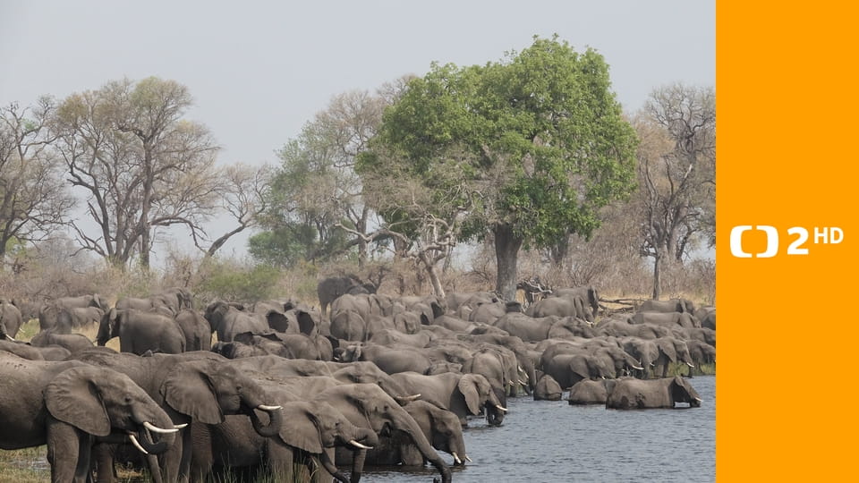 Přírodní krásy světa