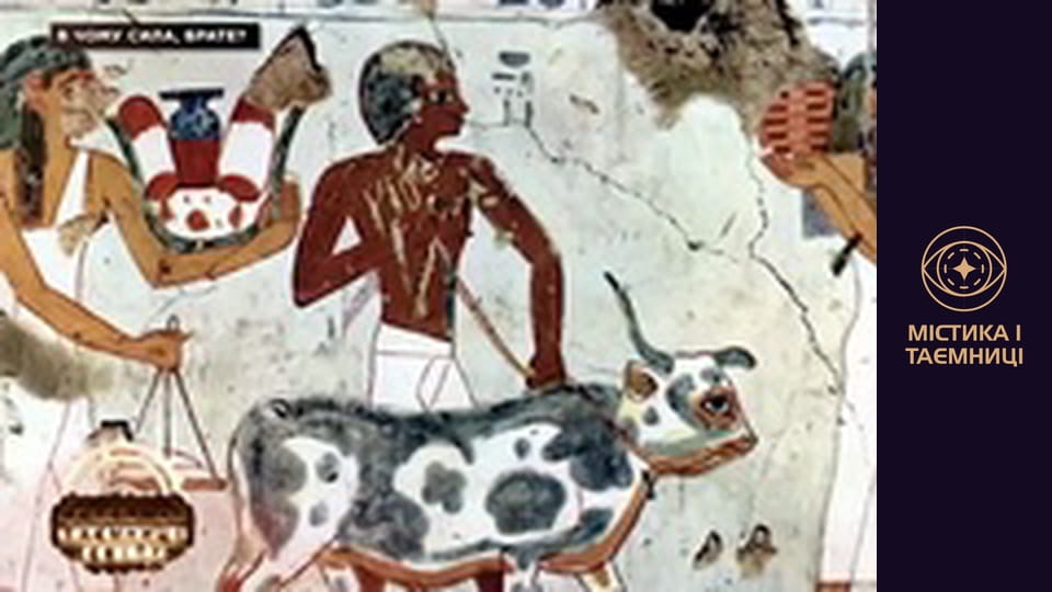 Secrets of the world. In strength, brother?