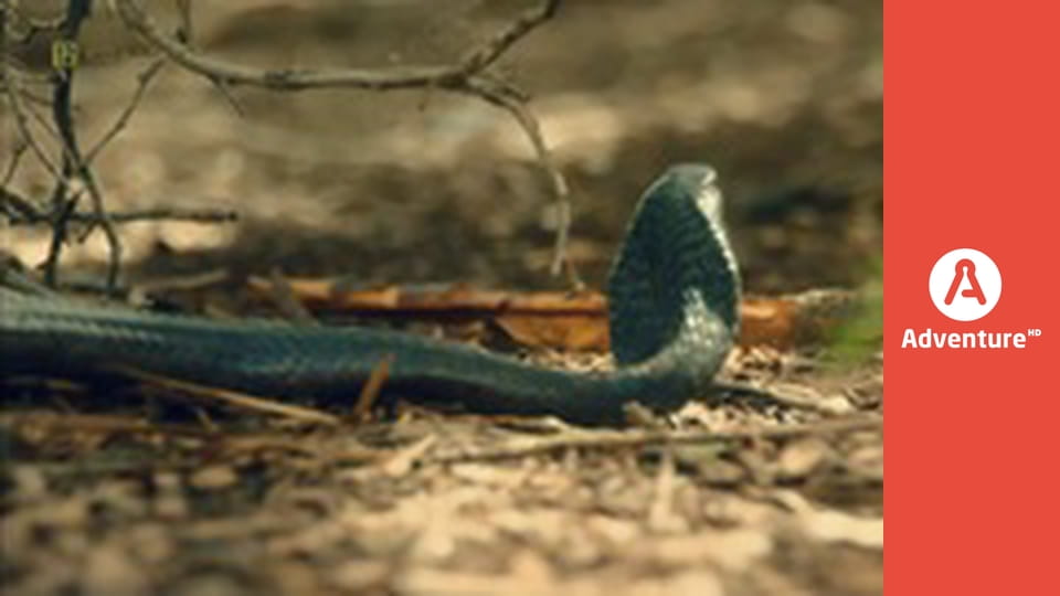 Kod Jezusa E4 - Nieznany brat Jezusa