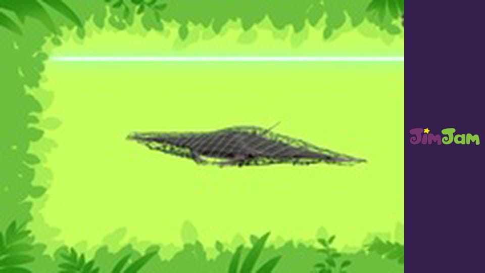 Leo the Wildlife Ranger S3E34